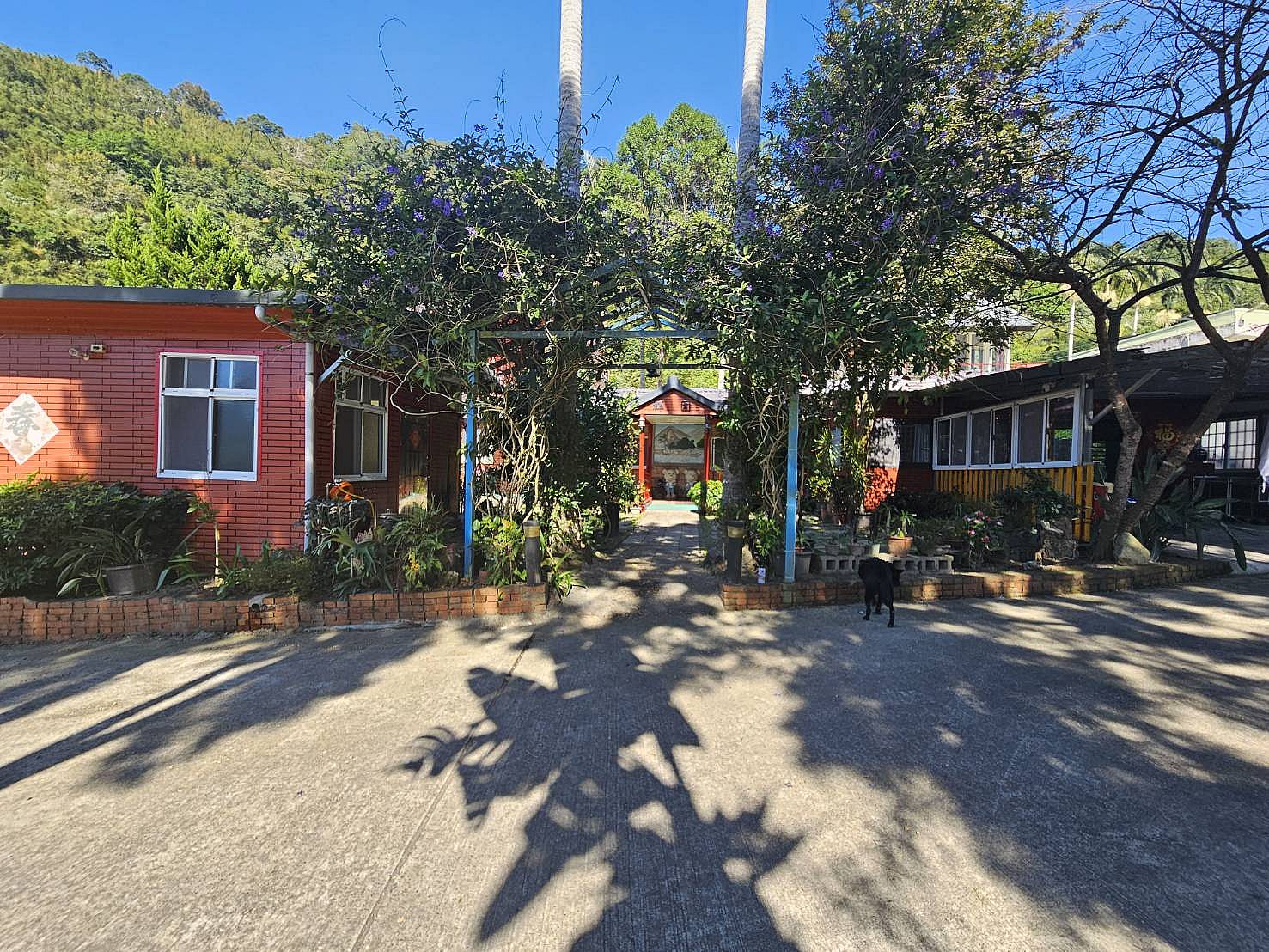 群園庭園咖啡民宿｜新竹內灣包棟 周邊秘境：從山徑到森林浴