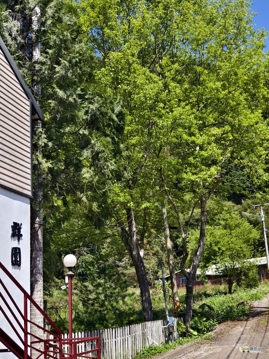 群園超值平價包棟-22人 - 房型照片